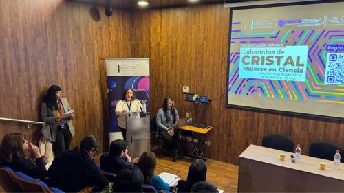 lanzamiento-estudio-laberintos-de-cristal-mujeres-en-la-ciencia-y-las-carreras-acadmicas-en-el-mbito-idie_53758022861_o